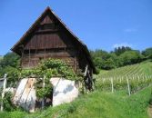 Weststeiermark