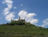 Niederösterreich