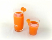 Karotten-Sellerie-Saft Karotten-Sellerie-Saft