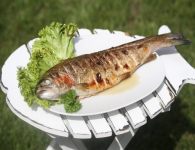 Gegrillter Alpenlach...
