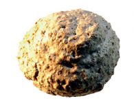 Zwetschken-Mohn-Makr...