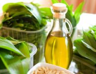 Bärlauchpesto