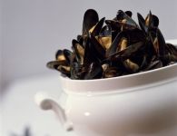 Bouchot-Muscheln in...