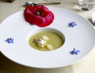 Brennesselsuppe