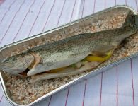 Fisch in der Salzkru...