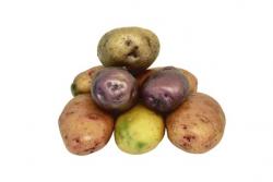 Die besten Kartoffel Rezepte