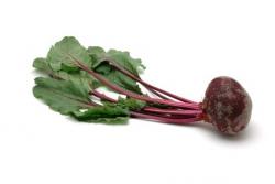 Rote Rübe