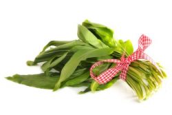 Die besten Bärlauch Rezepte