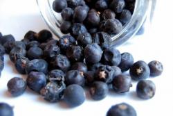 Wacholderbeeren