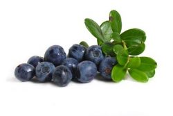 Die besten 
Heidelbeeren Rezepte