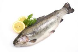 Die besten <br />
Süßwasser Fisch Rezepte 