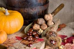 Herbst & Maroni