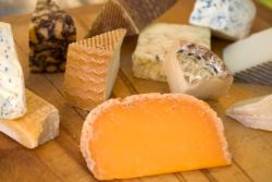 Was bedeutet FIT - Wie fett ist Käse?