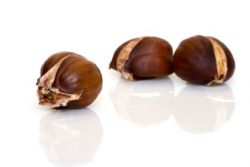 Die besten Maroni Rezepte