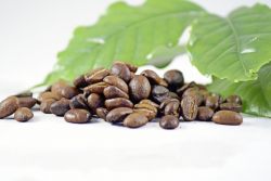 Kaffeebohnen