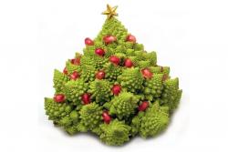 Die besten Weihnachtsrezepte 