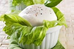 Mozzarella