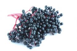 Die besten Holunder Rezepte