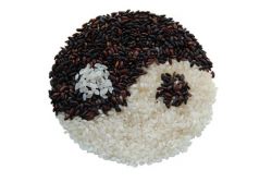 Die besten TCM Rezepte