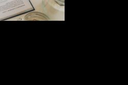 Nahrung für den Geist: Wir lieben Bücher!