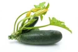 Die besten Zucchini Rezepte