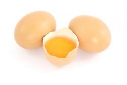 Die besten Eier Rezepte