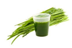 Die besten Detox Rezepte