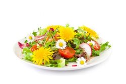 Blumen & Blüten Rezepte