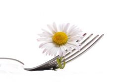 Kochen mit Blüten