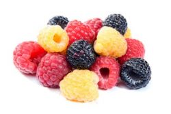 Die besten <br />
Himbeeren Rezepte
