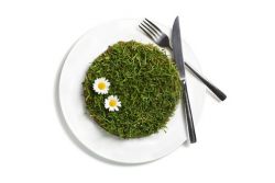 Rezepte suchen & finden  