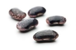 Die besten Käferbohnen Rezepte