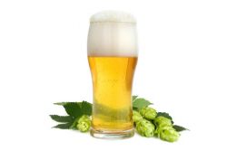 Die besten Bier Rezepte