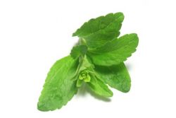 Die besten Stevia Rezepte