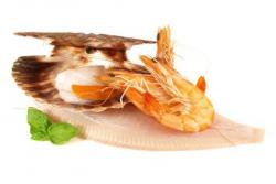 Die besten Rezepte für<br />
Fisch & Meeresfrüchte 