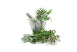 Die besten <br />
Kräuter & Gewürze Rezepte