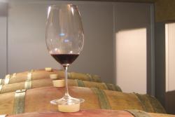 Wissenswertes rund um den Wein Wissenswertes rund um den Wein