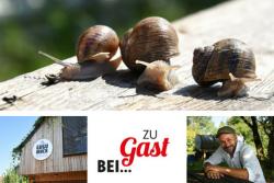 Zu Gast bei Gugumuck Zu Gast bei Gugumuck