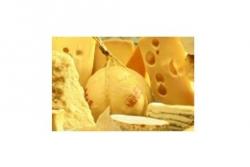Mit Käse kochen