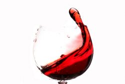 Rund um den Wein