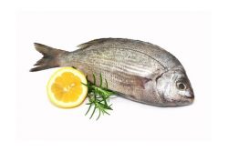 Die besten <br />
Meeresfisch Rezepte