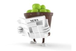 Neue Newsletter mit vielen Rezeptideen