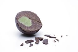 Die besten Rezepte <br />
aus der Salzburger Küche