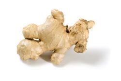 Die besten Ingwer Rezepte