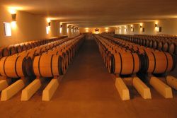 Bordeaux Weinfässer Bordeaux Weinfässer