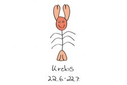Krebs