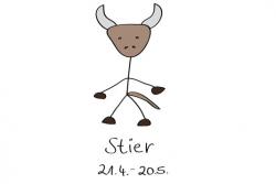 Stier