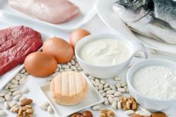 Proteinreiche Ernährung Proteinreiche Ernährung