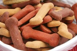 Kochen und Backen für Hunde Kochen und Backen für Hunde