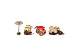 Pilze von A -  Z